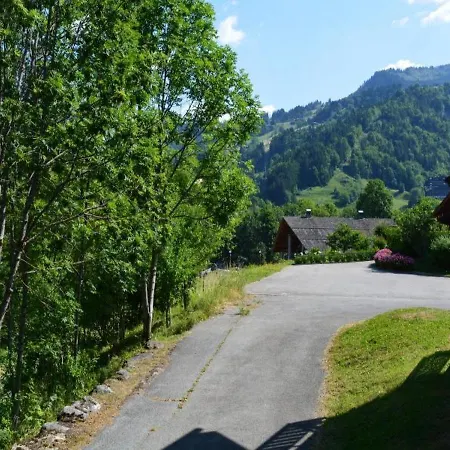 Studio Cabine 5 Pers, Proche Patinoire Et Pistes, Le Grand-Bornand - Fr-1-241-45